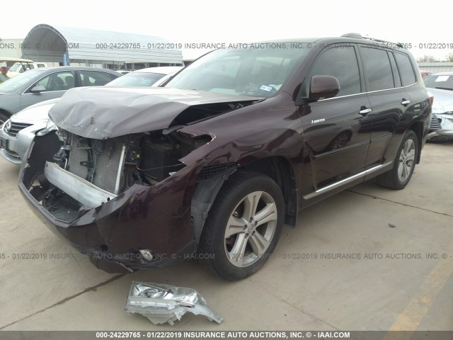 5TDYK3EH0DS117450 - 2013 TOYOTA HIGHLANDER LIMITED MAROON photo 2