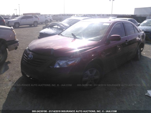 4T1BE46K69U376388 - 2009 TOYOTA CAMRY SE/LE/XLE 红色 照片 2