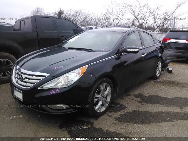 5NPEC4AC7DH660428 - 2013 HYUNDAI SONATA SE/LIMITED BLACK photo 2