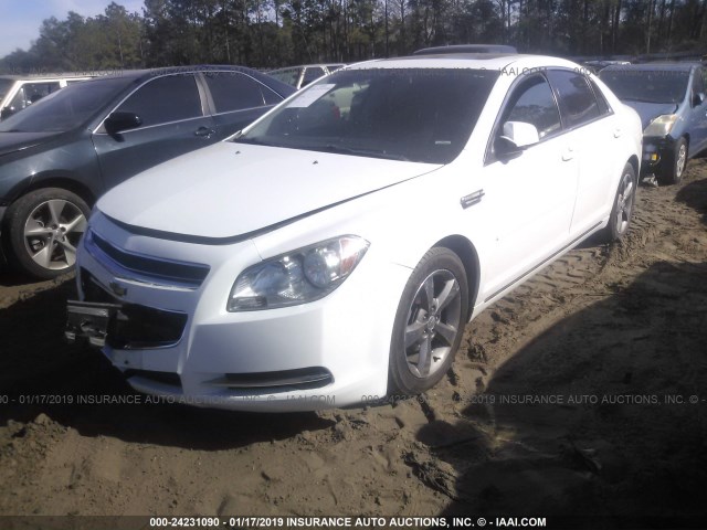 1G1ZC5E19BF384768 - 2011 CHEVROLET MALIBU 1LT თეთრი ფოტო 2