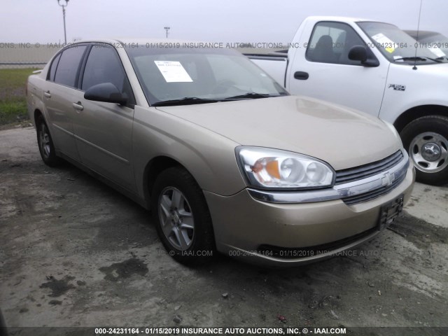 1G1ZT54805F142633 - 2005 CHEVROLET MALIBU LS GOLD photo 1