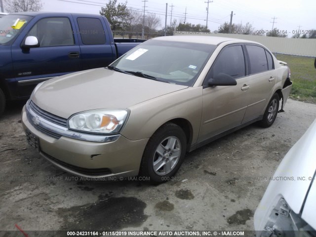 1G1ZT54805F142633 - 2005 CHEVROLET MALIBU LS GOLD photo 2