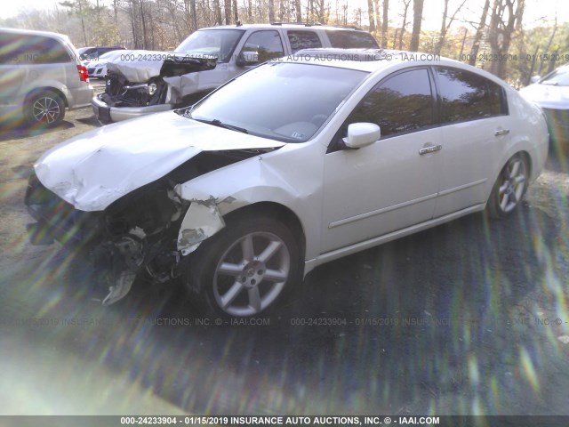 1N4BA41E37C861727 - 2007 NISSAN MAXIMA SE/SL WHITE photo 2