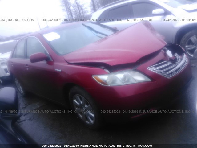 4T1BB46K98U033937 - 2008 TOYOTA CAMRY HYBRID RED photo 1