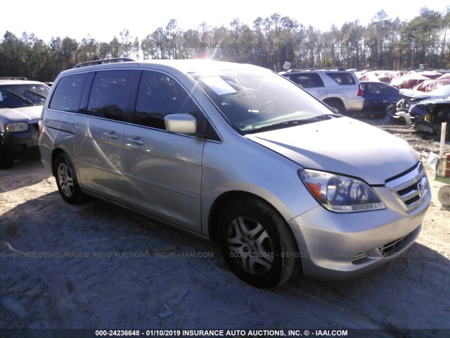 5FNRL38675B024281 - 2005 HONDA ODYSSEY EXL SILVER photo 1