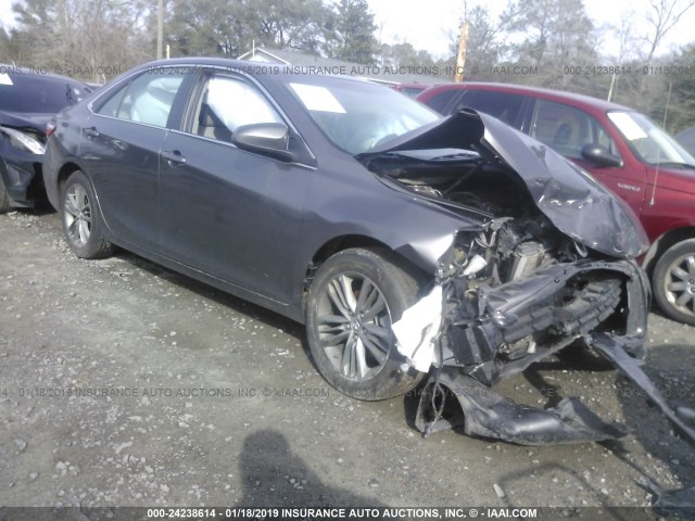 4T1BF1FK8FU954501 - 2015 TOYOTA CAMRY LE/XLE/SE/XSE GRAY photo 1