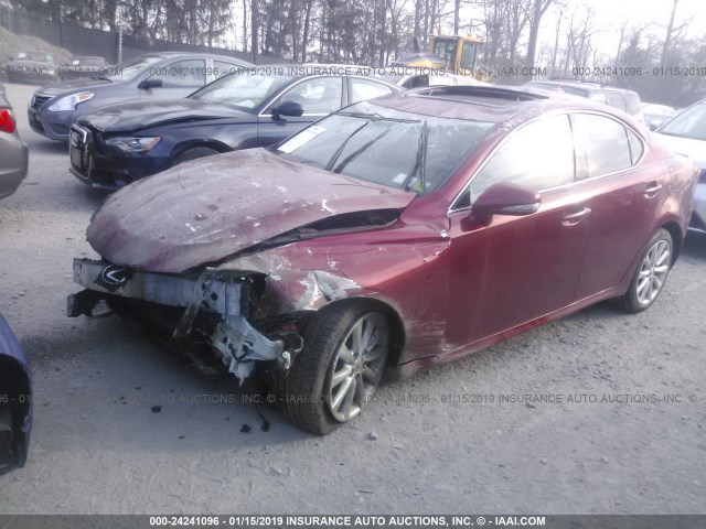 JTHCK262695034292 - 2009 LEXUS IS 250 RED photo 2