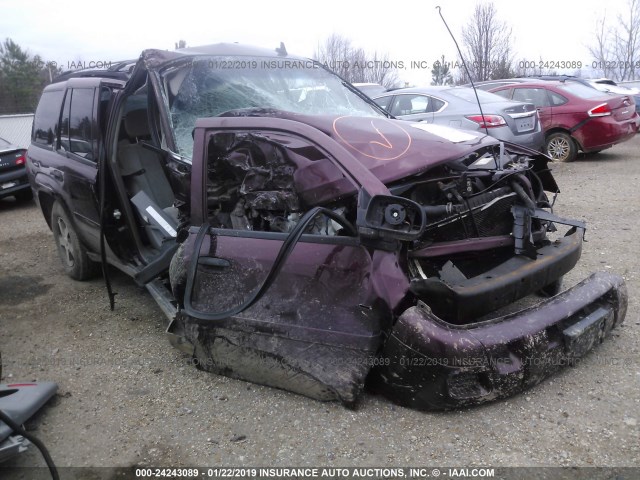 1GNDT13S762257009 - 2006 CHEVROLET TRAILBLAZER LS/LT PURPLE photo 1