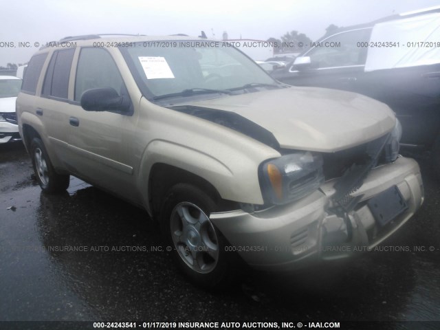 1GNDS13S372285393 - 2007 CHEVROLET TRAILBLAZER LS/LT GRAY photo 1