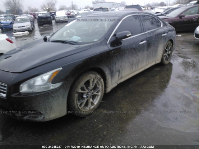 1N4AA5AP1DC836176 - 2013 NISSAN MAXIMA S/SV BLACK photo 2