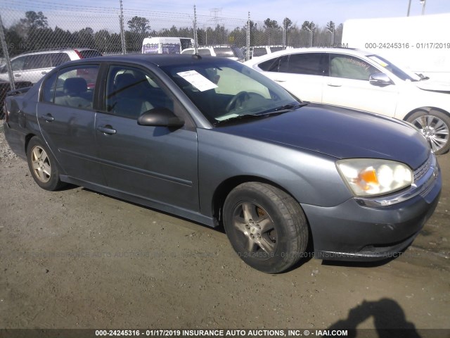 1G1ZT54855F270365 - 2005 CHEVROLET MALIBU LS GRAY photo 1