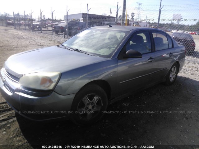 1G1ZT54855F270365 - 2005 CHEVROLET MALIBU LS GRAY photo 2