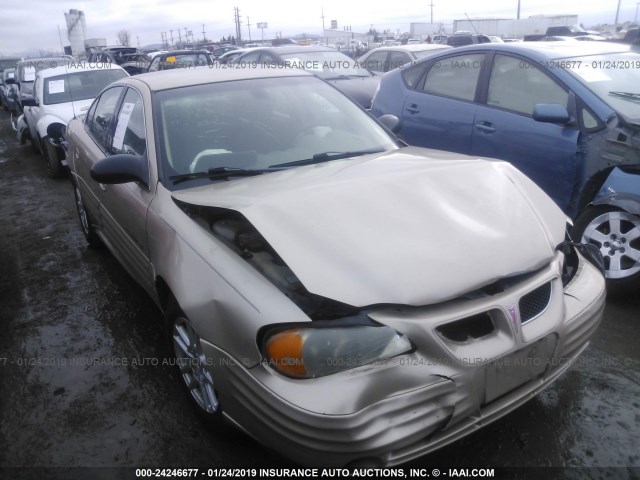 1G2NF52F22C112307 - 2002 PONTIAC GRAND AM SE1 GOLD photo 1