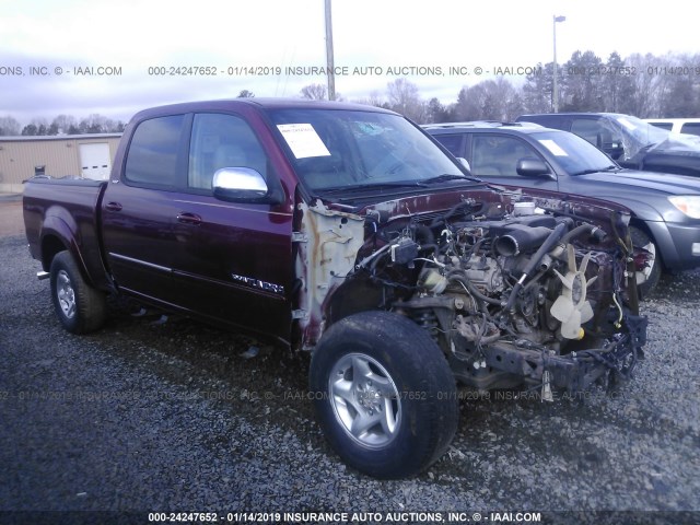 5TBET34126S540725 - 2006 TOYOTA TUNDRA DOUBLE CAB SR5 BURGUNDY photo 1