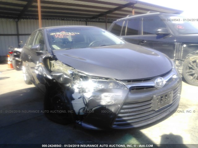 4T1BF1FK1HU804717 - 2017 TOYOTA CAMRY LE/XLE/SE/XSE GRAY photo 1