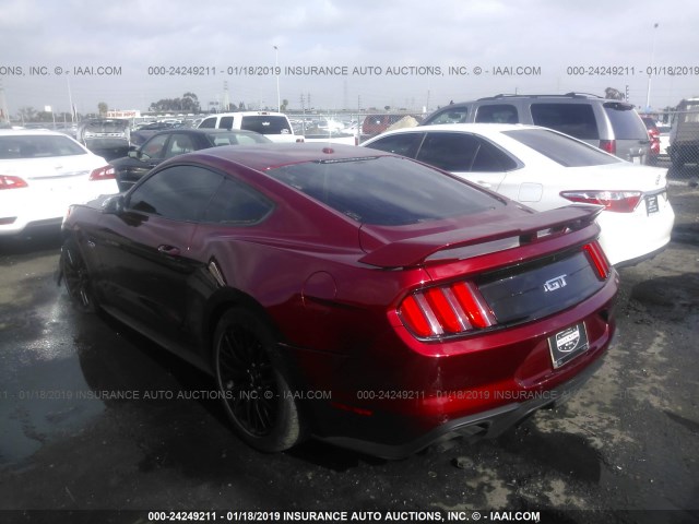 1FA6P8CFXK5109033 - 2019 FORD MUSTANG GT BURGUNDY photo 3