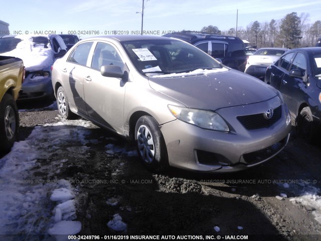 1NXBU4EE1AZ174397 - 2010 TOYOTA COROLLA S/LE/XLE GOLD photo 1