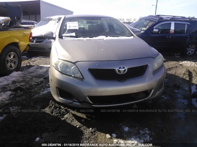 1NXBU4EE1AZ174397 - 2010 TOYOTA COROLLA S/LE/XLE GOLD photo 6