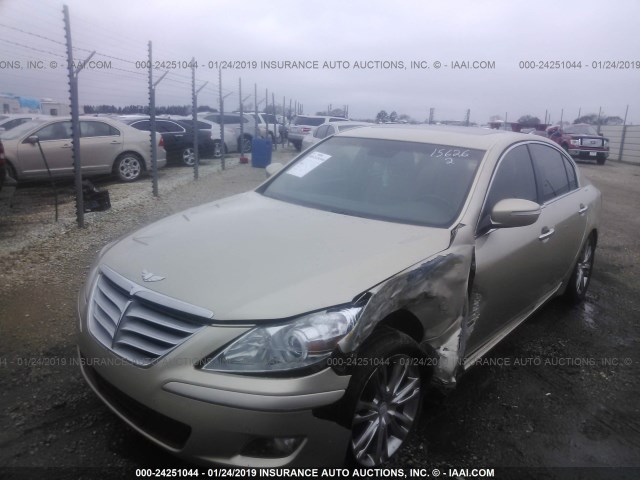 KMHGC4DE1BU143002 - 2011 HYUNDAI GENESIS 3.8L GOLD photo 2