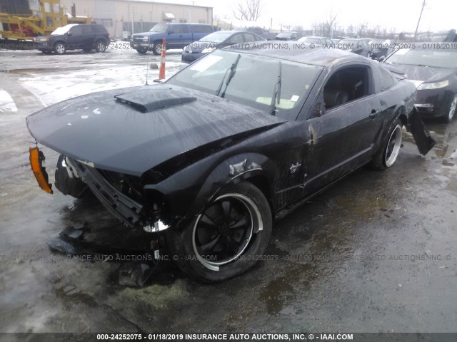 1ZVHT82H695145522 - 2009 FORD MUSTANG GT BLACK photo 6