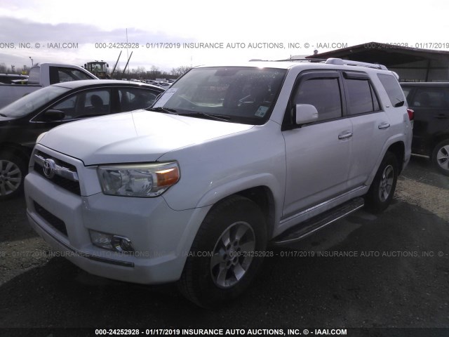 JTEZU5JR8C5041873 - 2012 TOYOTA 4RUNNER SR5/LIMITED WHITE photo 2