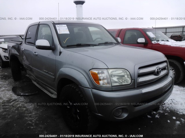 5TBDT44126S545246 - 2006 TOYOTA TUNDRA DOUBLE CAB SR5 SILVER photo 1