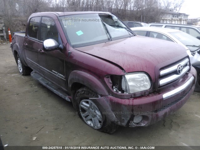 5TBDT44186S549687 - 2006 TOYOTA TUNDRA DOUBLE CAB SR5 MAROON photo 1