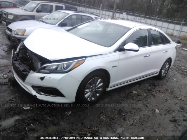 KMHE24L18GA027572 - 2016 HYUNDAI SONATA HYBRID/SE WHITE photo 2