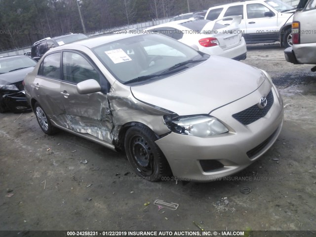 1NXBU40E59Z024618 - 2009 TOYOTA COROLLA S/LE/XLE GOLD photo 1