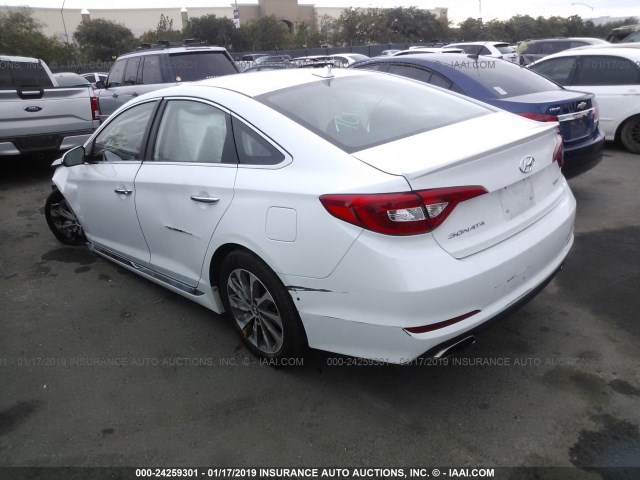 5NPE34AFXGH357559 - 2016 HYUNDAI SONATA SPORT/LIMITED WHITE photo 3