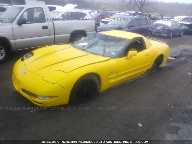 1G1YY12S335135120 - 2003 CHEVROLET CORVETTE Z06 YELLOW photo 2