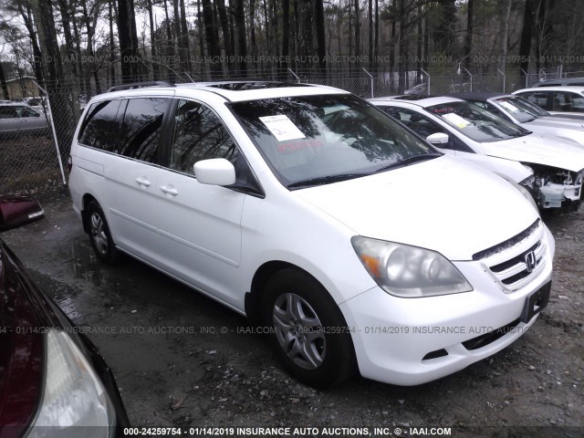 5FNRL38615B046972 - 2005 HONDA ODYSSEY EXL WHITE photo 1