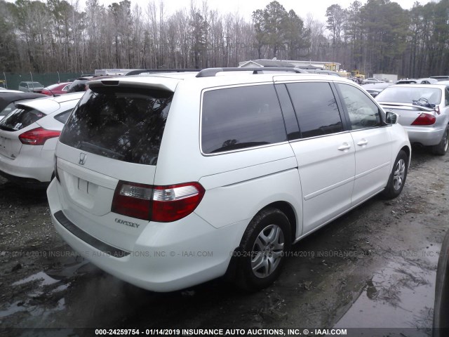 5FNRL38615B046972 - 2005 HONDA ODYSSEY EXL WHITE photo 4