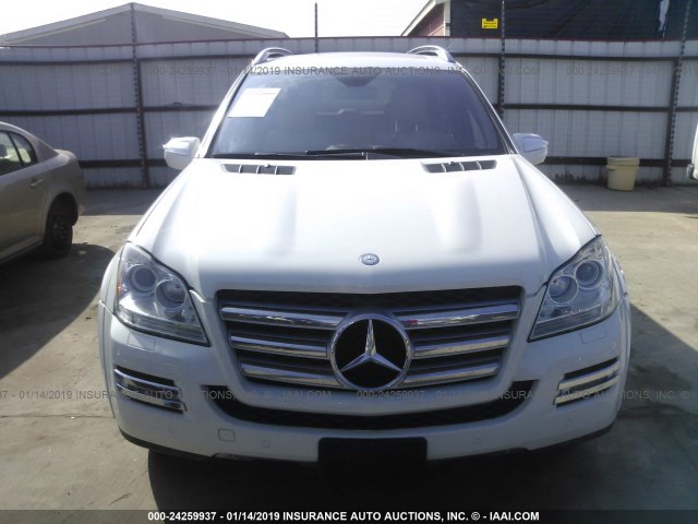 4JGBF8GE1AA561760 - 2010 MERCEDES-BENZ GL WHITE photo 6