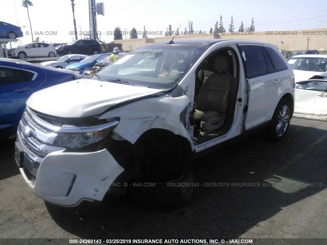 2FMDK3JC4DBB11639 - 2013 FORD EDGE SEL WHITE photo 2