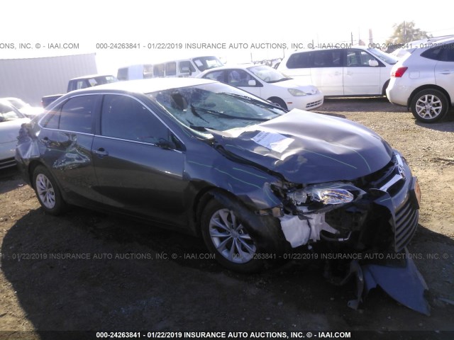 4T4BF1FK7GR548541 - 2016 TOYOTA CAMRY LE/XLE/SE/XSE ნაცრისფერი ფოტო 6