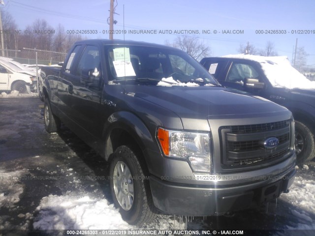 1FTFX1EF1DKF89725 - 2013 FORD F150 SUPER CAB GRAY photo 1