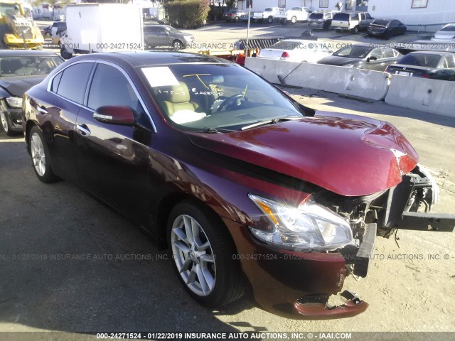 1N4AA5AP5AC827735 - 2010 NISSAN MAXIMA S/SV BURGUNDY photo 1