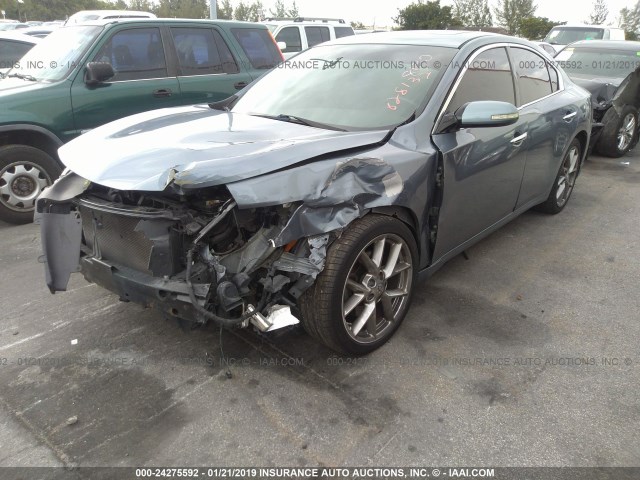 1N4AA5AP2AC828132 - 2010 NISSAN MAXIMA S/SV GRAY photo 2