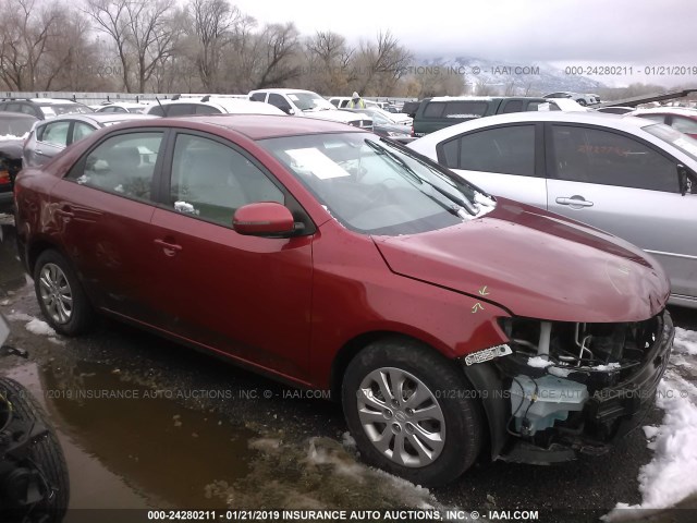 KNAFU4A22B5426247 - 2011 KIA FORTE EX RED photo 1