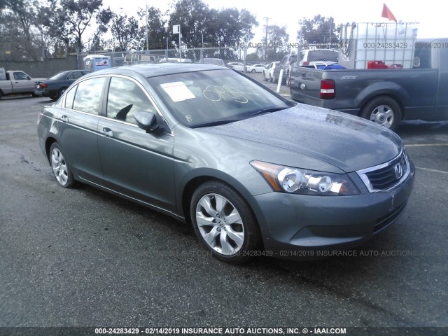 JHMCP26848C028524 - 2008 HONDA ACCORD EXL GREEN photo 1