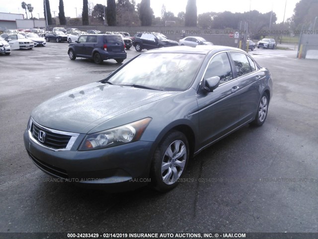 JHMCP26848C028524 - 2008 HONDA ACCORD EXL GREEN photo 2