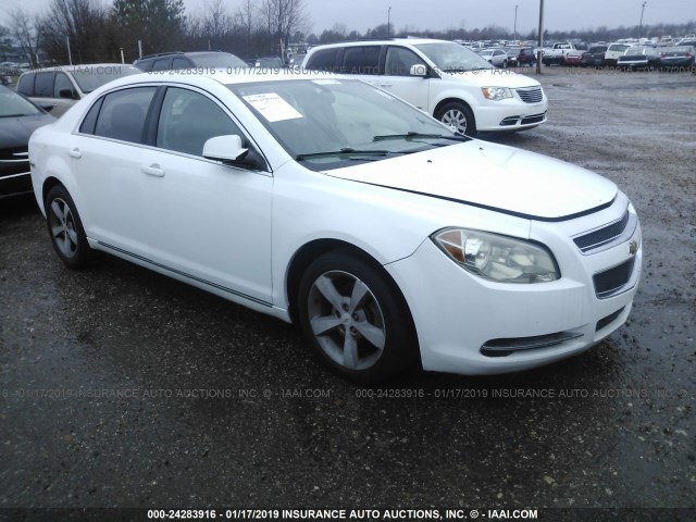 1G1ZC5EU7BF200793 - 2011 CHEVROLET MALIBU 1LT WHITE photo 1