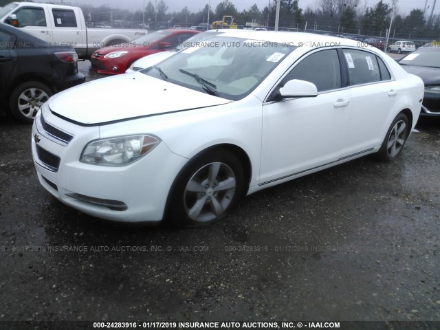 1G1ZC5EU7BF200793 - 2011 CHEVROLET MALIBU 1LT WHITE photo 2