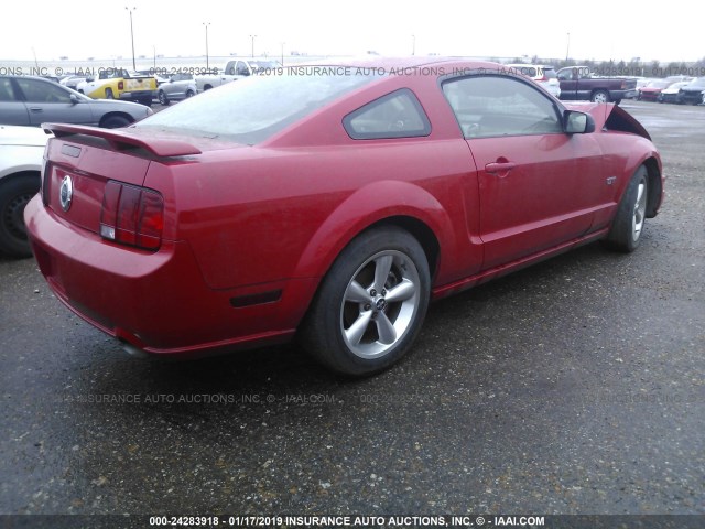 1ZVFT82H965216506 - 2006 FORD MUSTANG GT RED photo 4