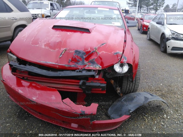 1ZVFT82H965216506 - 2006 FORD MUSTANG GT RED photo 6