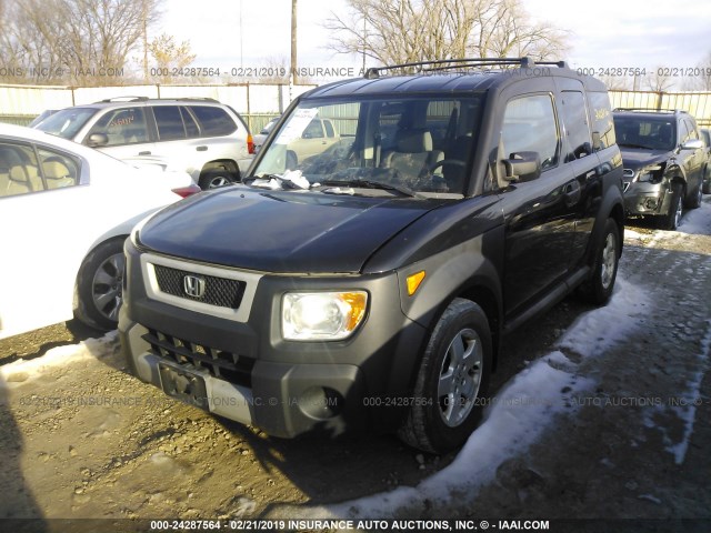 5J6YH28635L017391 - 2005 HONDA ELEMENT EX BLACK photo 6