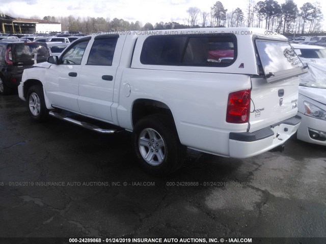 1D7RE3GK7BS627955 - 2011 DODGE DAKOTA SLT WHITE photo 3