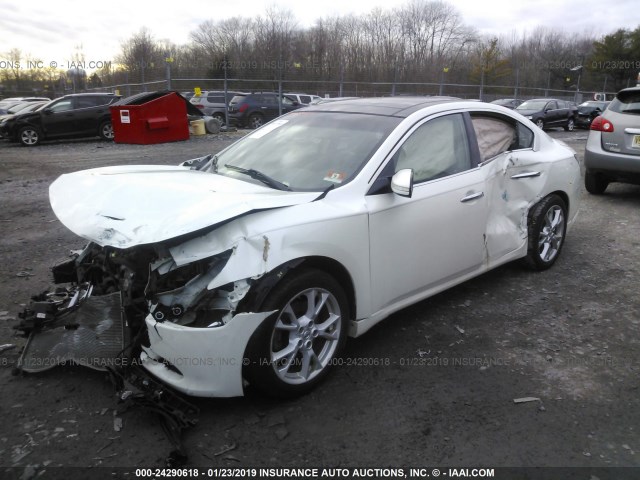 1N4AA5AP2EC434944 - 2014 NISSAN MAXIMA S/SV WHITE photo 2