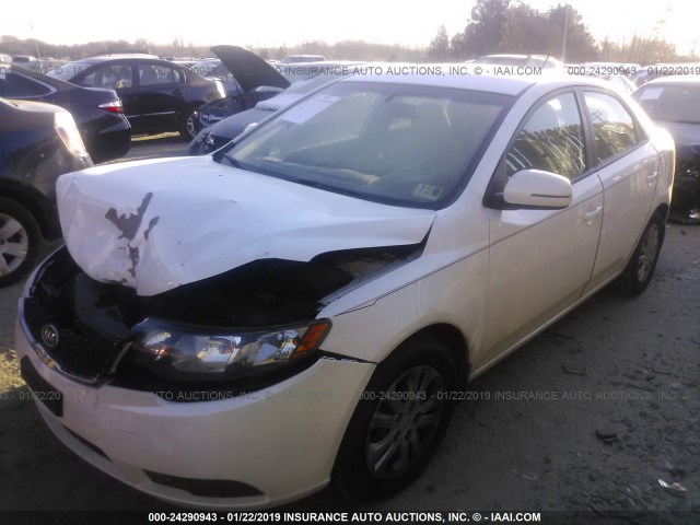 KNAFU4A20C5588248 - 2012 KIA FORTE EX WHITE photo 2